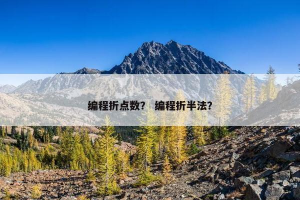 编程折点数？ 编程折半法？