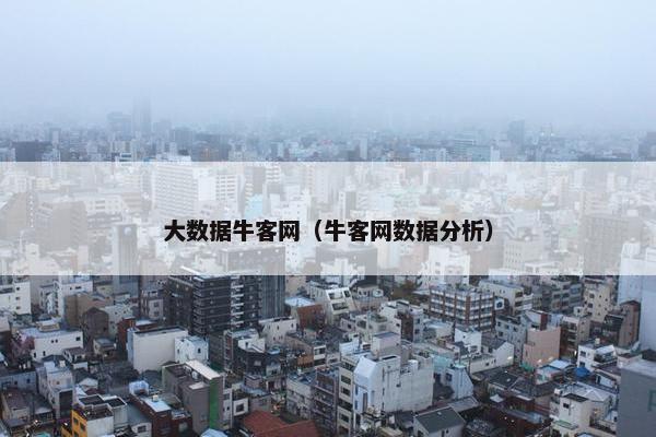 大数据牛客网（牛客网数据分析）