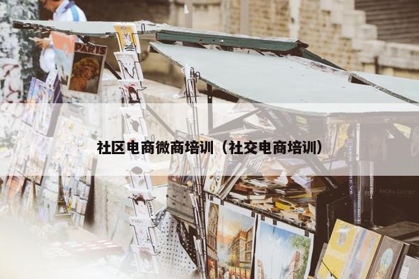 社区电商微商培训（社交电商培训）