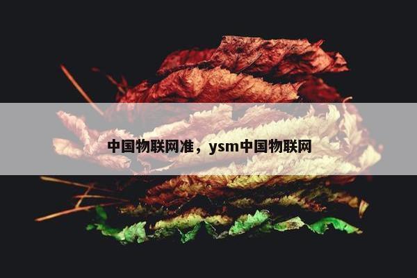 中国物联网准，ysm中国物联网