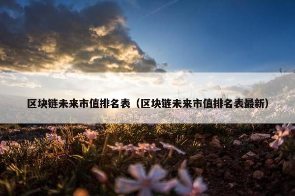区块链未来市值排名表（区块链未来市值排名表最新）