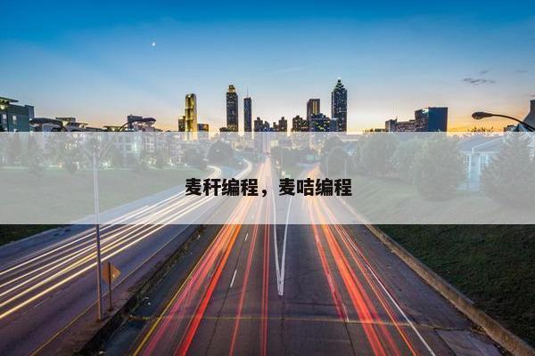 麦秆编程，麦咭编程