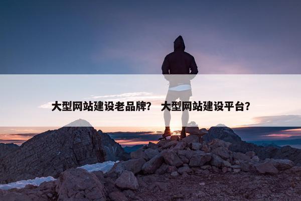 大型网站建设老品牌？ 大型网站建设平台？