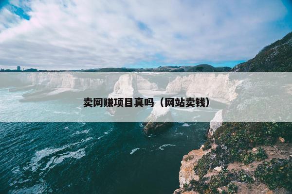 卖网赚项目真吗（网站卖钱）