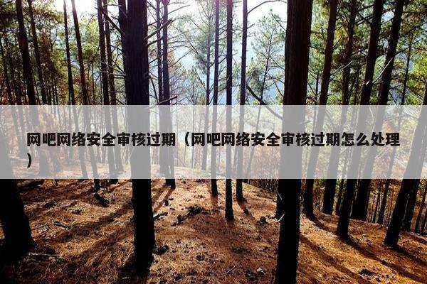 网吧网络安全审核过期（网吧网络安全审核过期怎么处理）