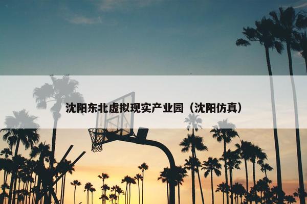 沈阳东北虚拟现实产业园（沈阳仿真）