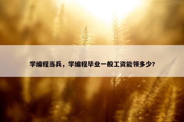 学编程当兵，学编程毕业一般工资能领多少?
