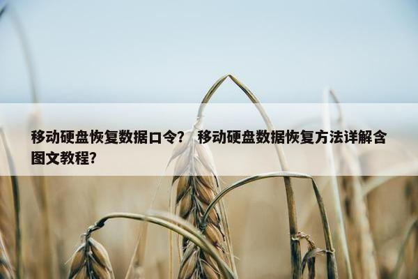 移动硬盘恢复数据口令？ 移动硬盘数据恢复方法详解含图文教程？