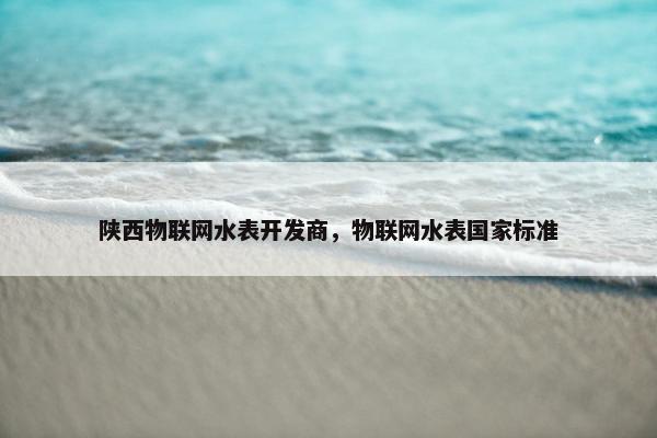 陕西物联网水表开发商，物联网水表国家标准