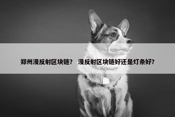 郑州漫反射区块链？ 漫反射区块链好还是灯条好？