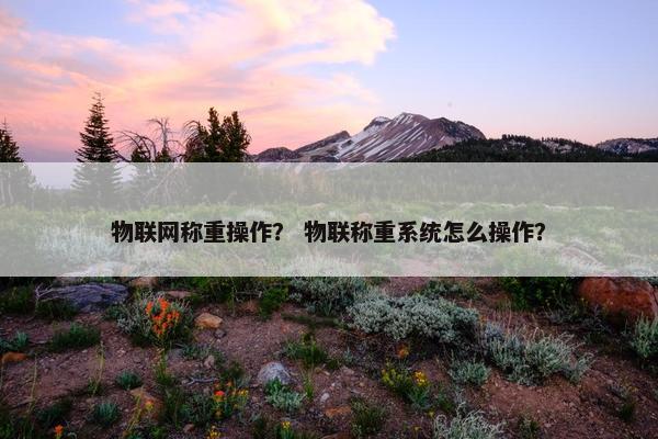 物联网称重操作？ 物联称重系统怎么操作？