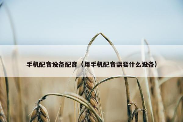 手机配音设备配音（用手机配音需要什么设备）