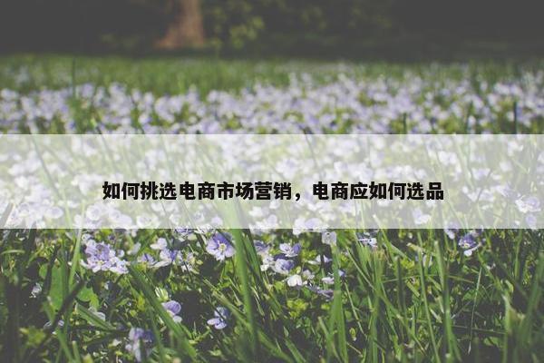 如何挑选电商市场营销，电商应如何选品