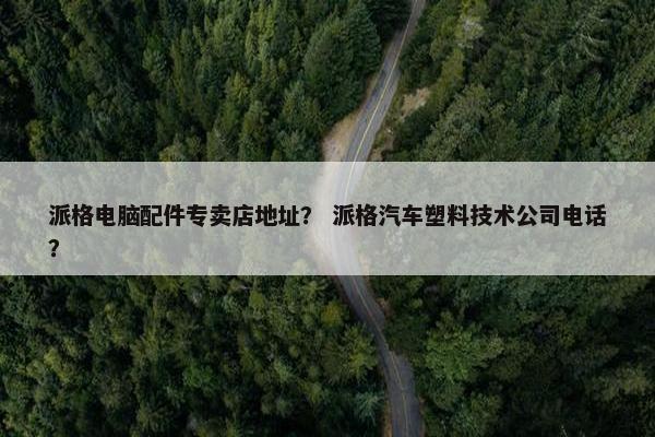 派格电脑配件专卖店地址？ 派格汽车塑料技术公司电话？
