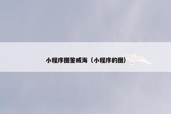 小程序图鉴威海（小程序的图）