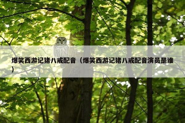 爆笑西游记猪八戒配音（爆笑西游记猪八戒配音演员是谁）