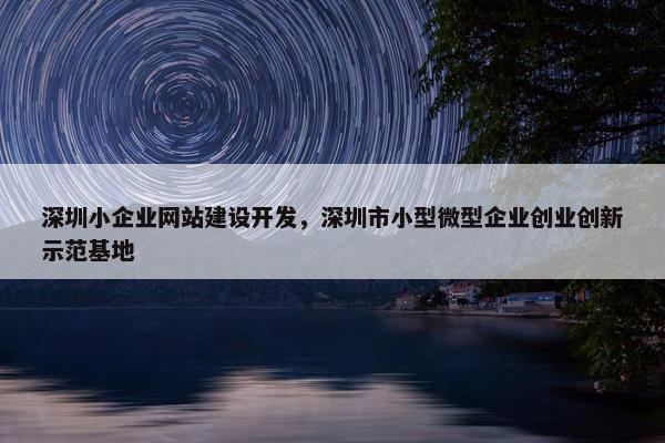 深圳小企业网站建设开发，深圳市小型微型企业创业创新示范基地