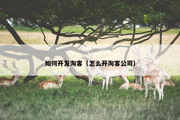 如何开发淘客（怎么开淘客公司）