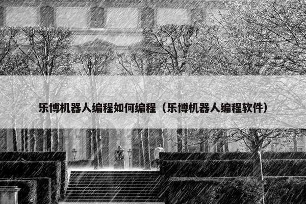 乐博机器人编程如何编程（乐博机器人编程软件）