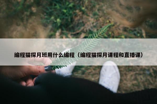 编程猫探月班用什么编程（编程猫探月课程和直播课）