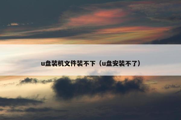 u盘装机文件装不下（u盘安装不了）