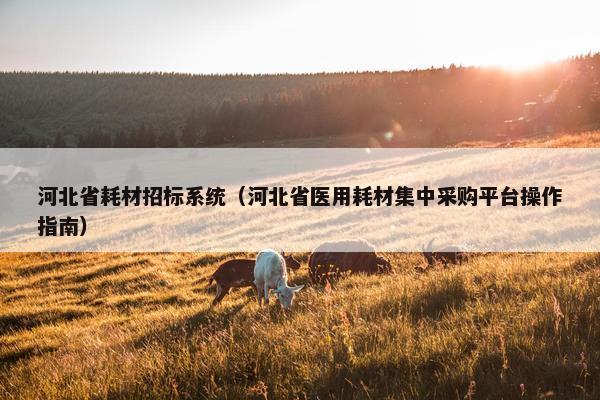 河北省耗材招标系统（河北省医用耗材集中采购平台操作指南）