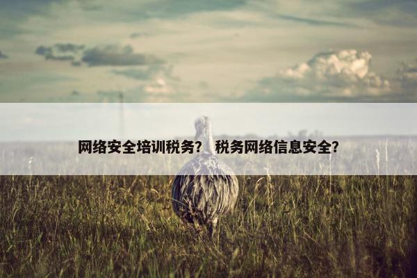 网络安全培训税务？ 税务网络信息安全？