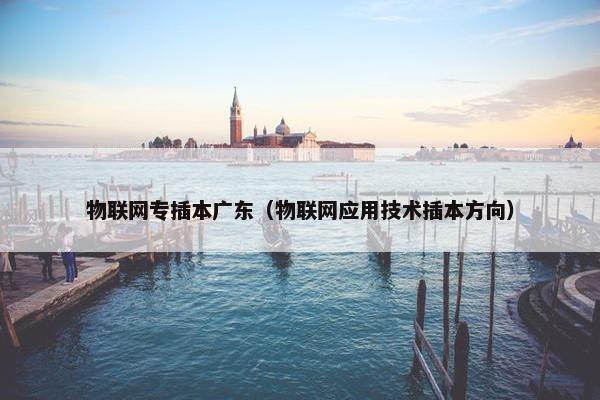 物联网专插本广东（物联网应用技术插本方向）