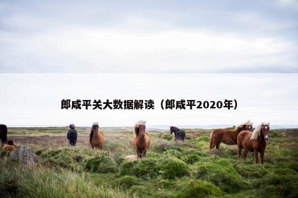 郎咸平关大数据解读（郎咸平2020年）
