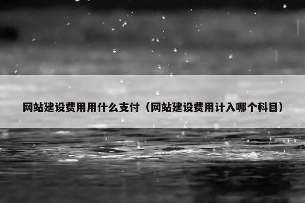 网站建设费用用什么支付（网站建设费用计入哪个科目）