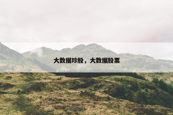 大数据珍股，大数据股票