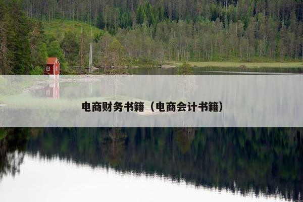 电商财务书籍（电商会计书籍）