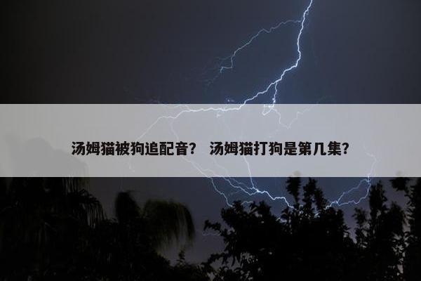 汤姆猫被狗追配音？ 汤姆猫打狗是第几集？