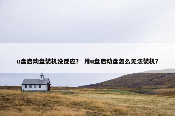 u盘启动盘装机没反应？ 用u盘启动盘怎么无法装机？