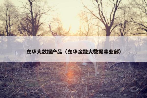 东华大数据产品（东华金融大数据事业部）