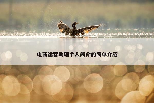 电商运营助理个人简介的简单介绍