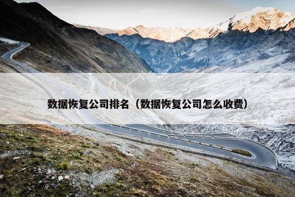 数据恢复公司排名（数据恢复公司怎么收费）
