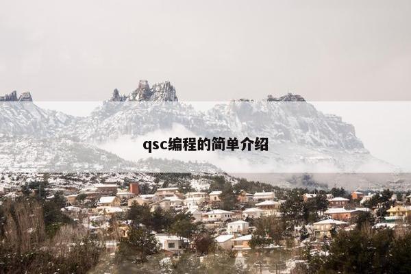 qsc编程的简单介绍
