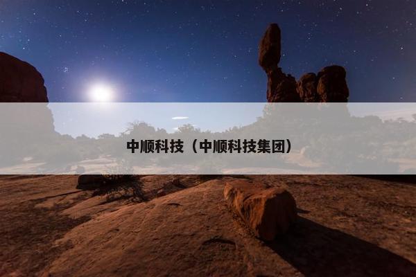 中顺科技（中顺科技集团）