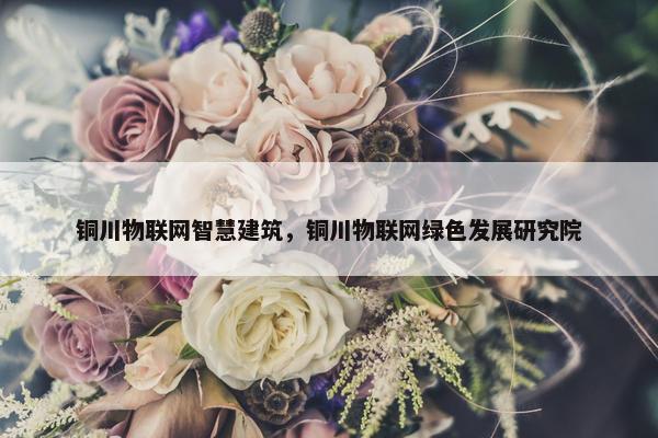 铜川物联网智慧建筑，铜川物联网绿色发展研究院