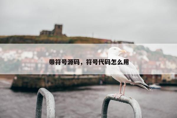 带符号源码，符号代码怎么用