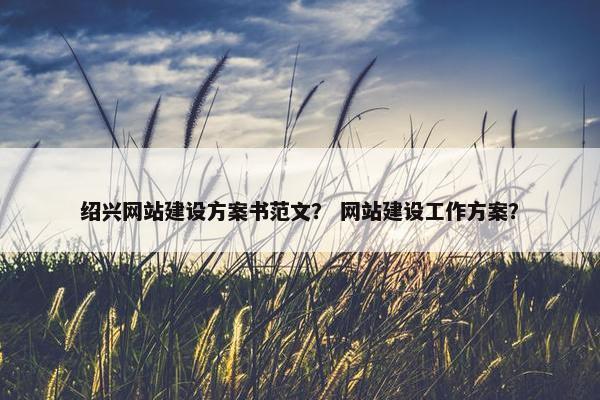 绍兴网站建设方案书范文？ 网站建设工作方案？