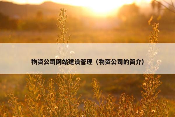 物资公司网站建设管理（物资公司的简介）