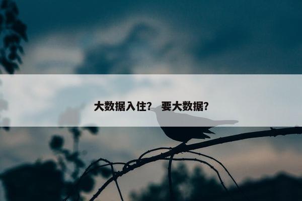 大数据入住？ 要大数据？