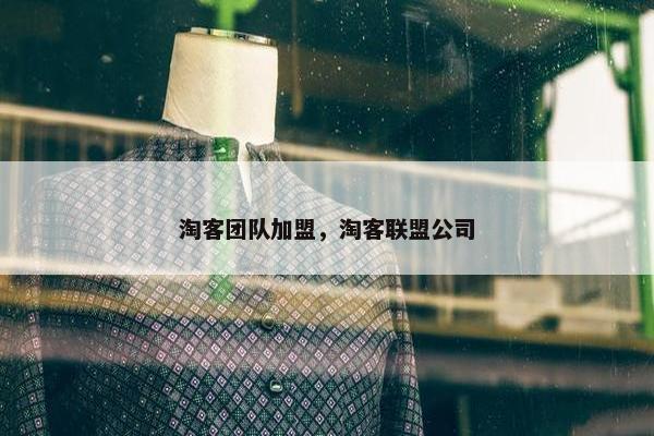 淘客团队加盟，淘客联盟公司