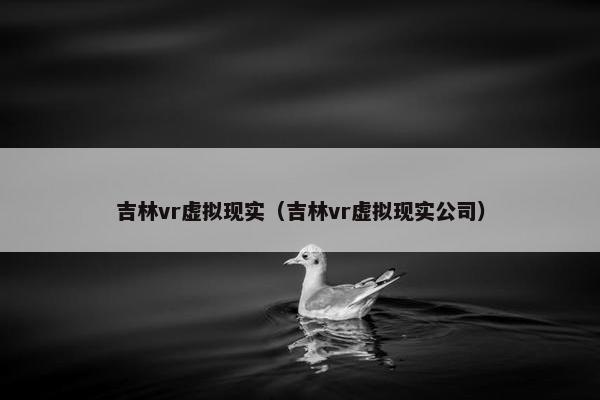 吉林vr虚拟现实（吉林vr虚拟现实公司）