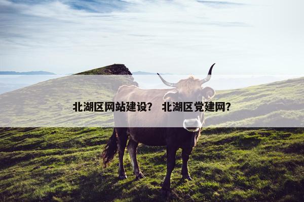 北湖区网站建设？ 北湖区党建网？