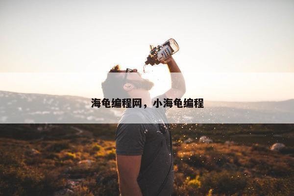 海龟编程网，小海龟编程