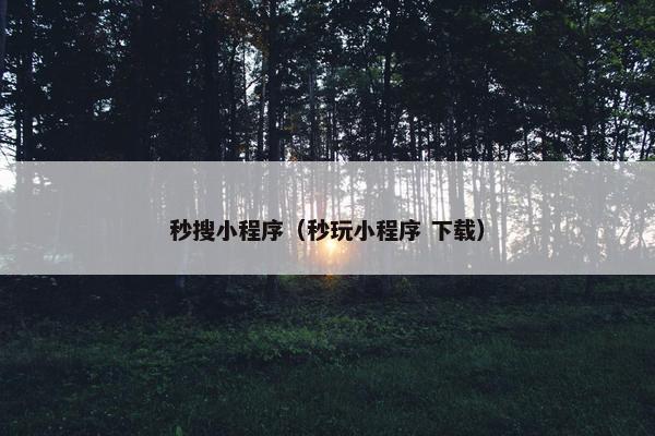 秒搜小程序（秒玩小程序 下载）