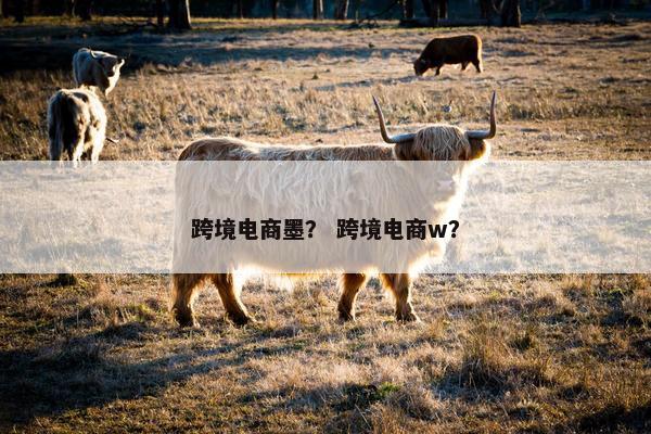 跨境电商墨？ 跨境电商w？